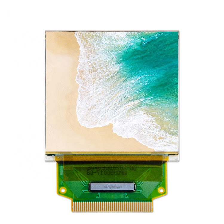 Smartwatches - Display OLED a colori da 1,5